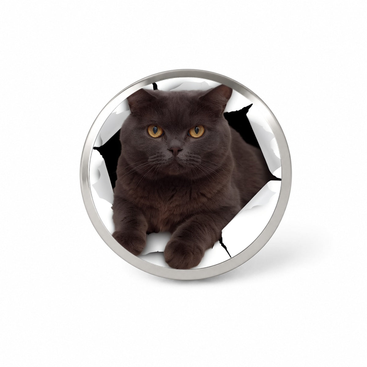 British Shorthair Cat Breakout Novelty Hat Backpack Lapel Pin