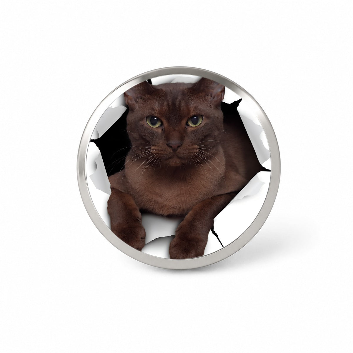 Burmese Cat Breakout Novelty Hat Backpack Lapel Pin