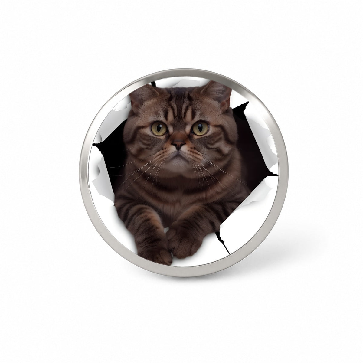Exotic Shorthair Cat Breakout Novelty Hat Backpack Lapel Pin