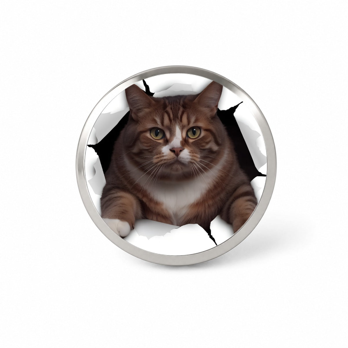 Fat Cat Breakout Novelty Hat Backpack Lapel Pin