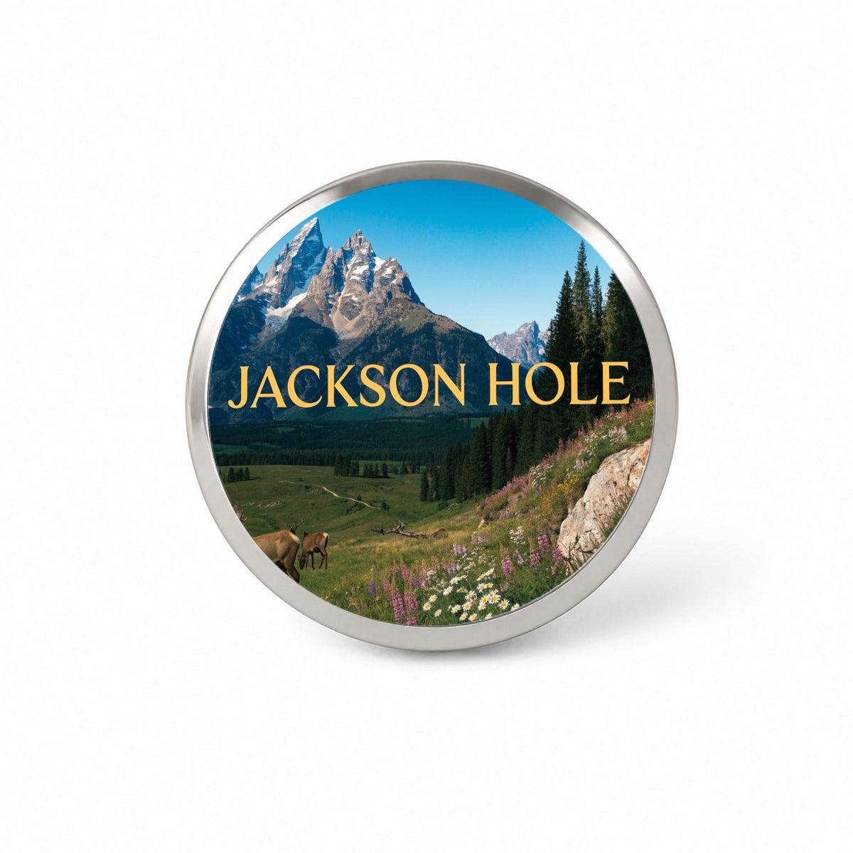 Jackson Hole Wyoming Travel Scenic Novelty Hat Backpack Lapel Pin