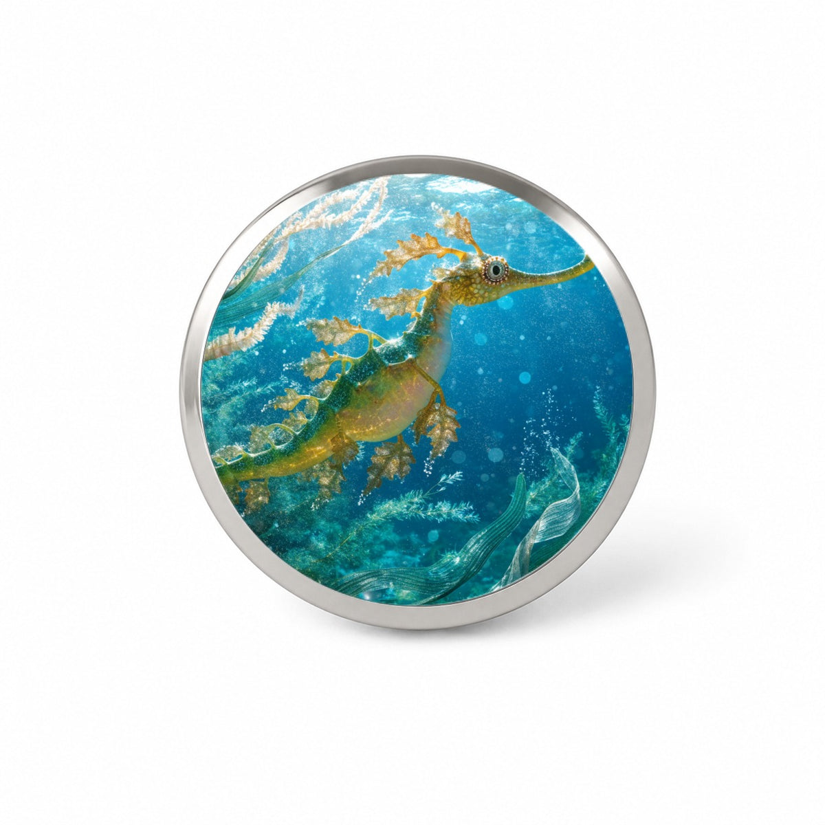 Leafy Seadragon Ocean Novelty Hat Backpack Lapel Pin
