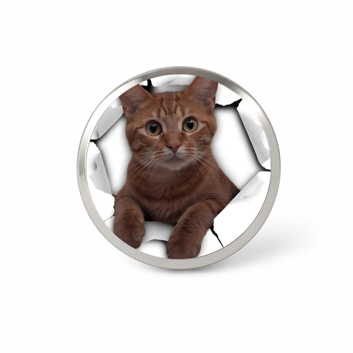 Orange Cat Breakout Novelty Hat Backpack Lapel Pin