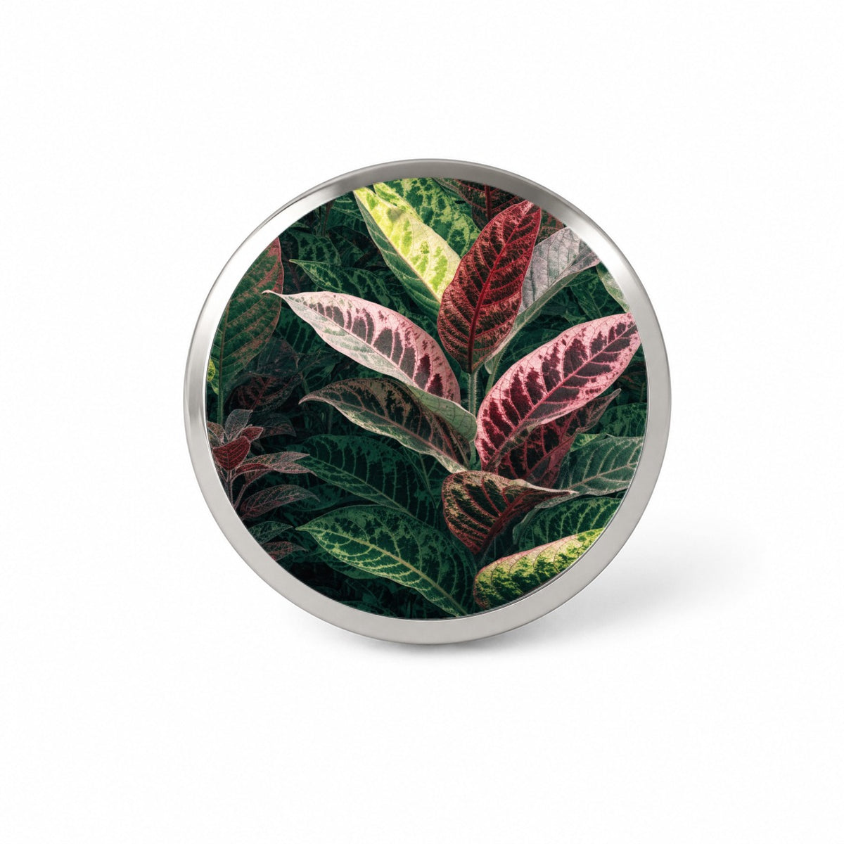 Prayer Plant Colorful Leaves Novelty Hat Backpack Lapel Pin