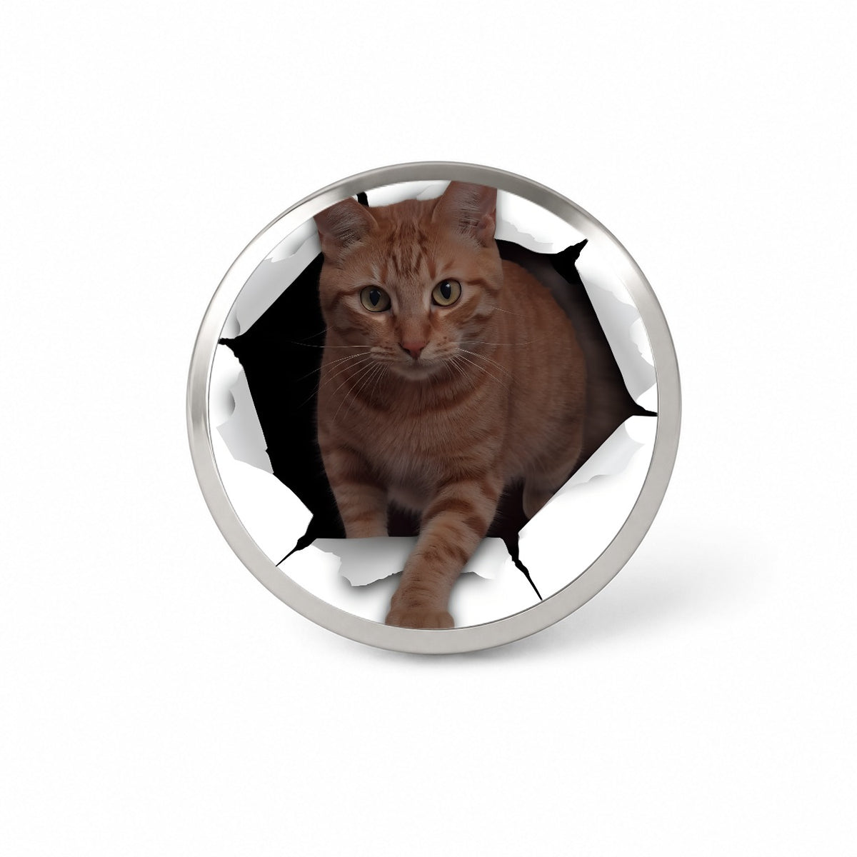 Tabby Orange Cat Breakout Novelty Hat Backpack Lapel Pin