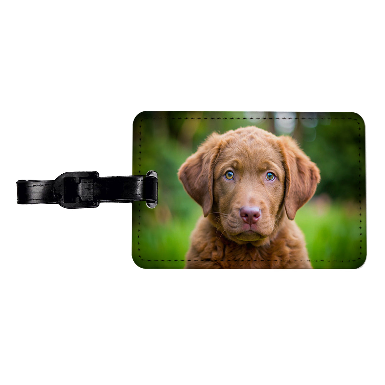 Chesapeake Bay Retriever Dog Puppy Photo Travel Faux Leather Luggage Tag