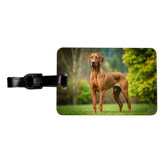 Rhodesian Ridgeback Dog Photo Travel Faux Leather Luggage Tag