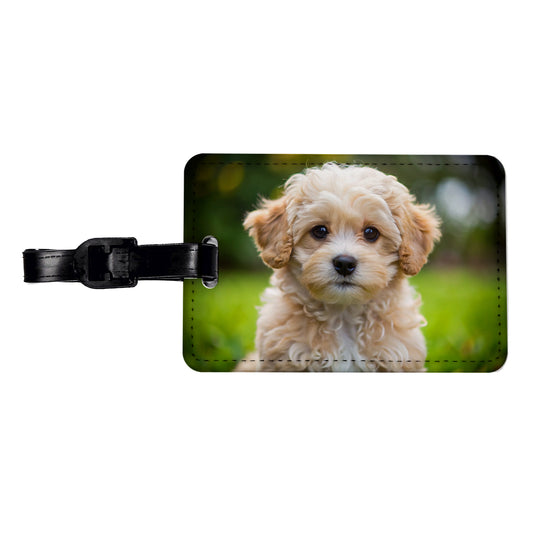 Maltipoo Dog Puppy Photo Travel Faux Leather Luggage Tag