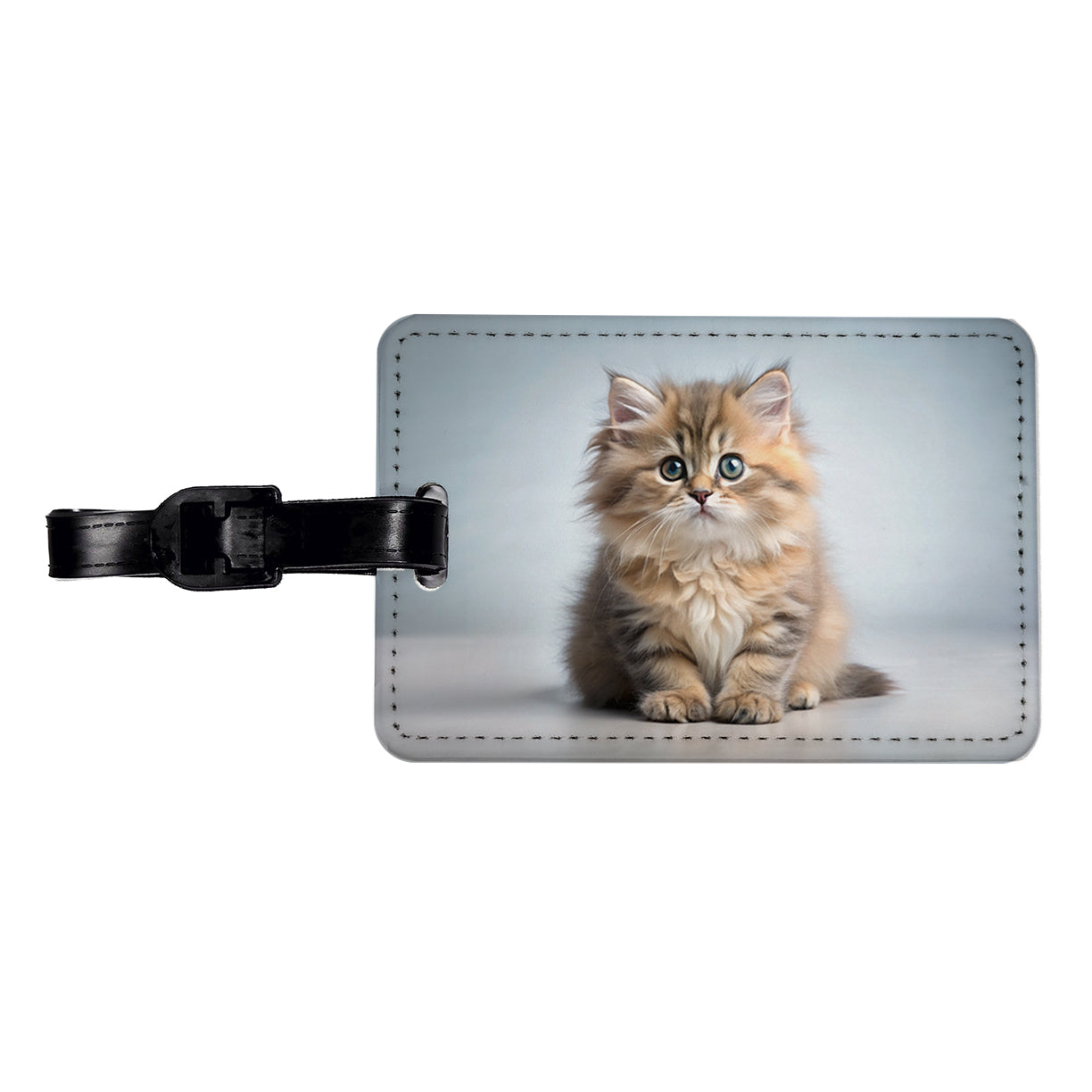 British Longhair Cat Kitten Photo Travel Faux Leather Luggage Tag