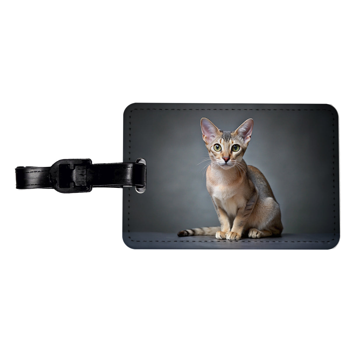 Singapura Cat Photo Travel Faux Leather Luggage Tag