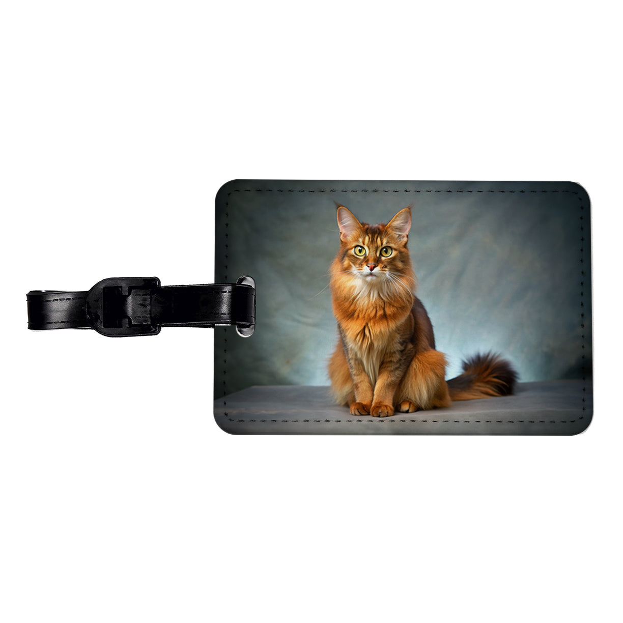 Somali Cat Kitten Photo Travel Faux Leather Luggage Tag