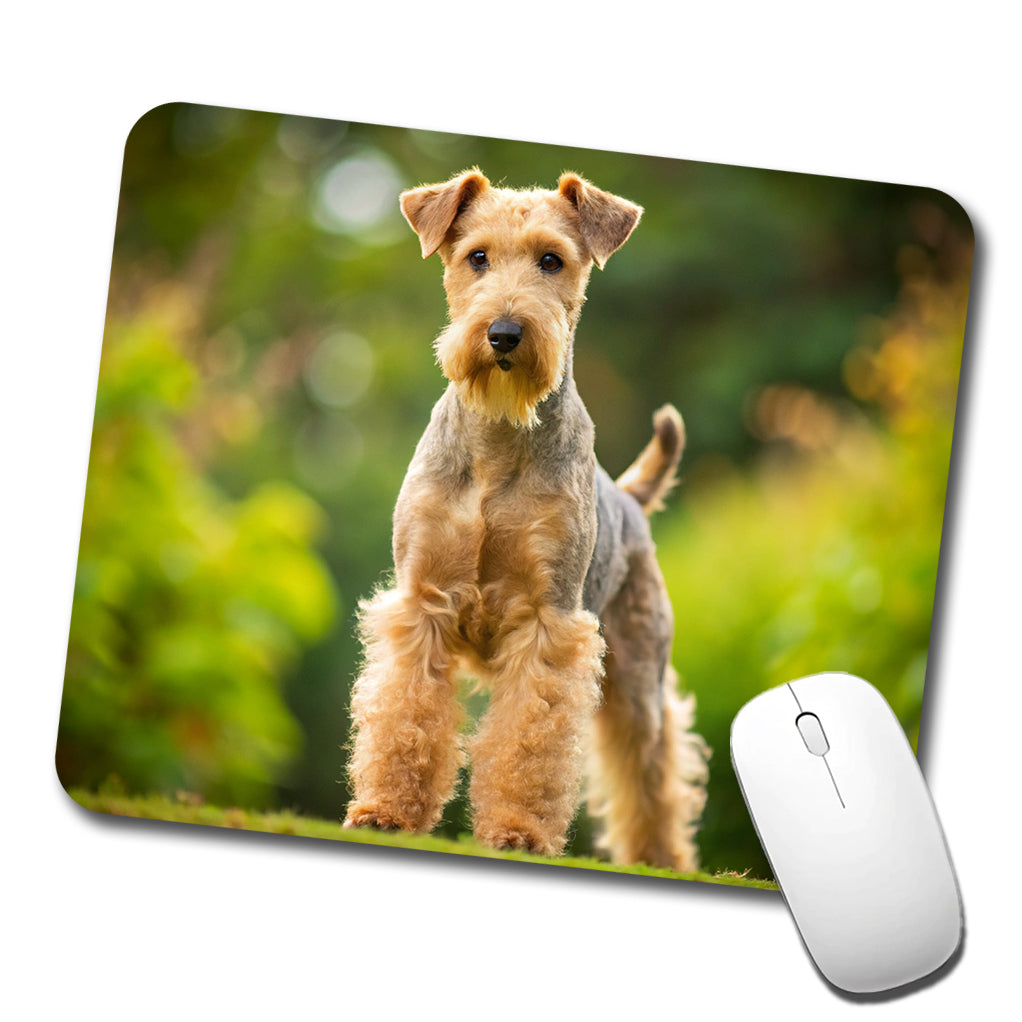Lakeland Terrier Dog Photo Low Profile Mouse Pad Mat
