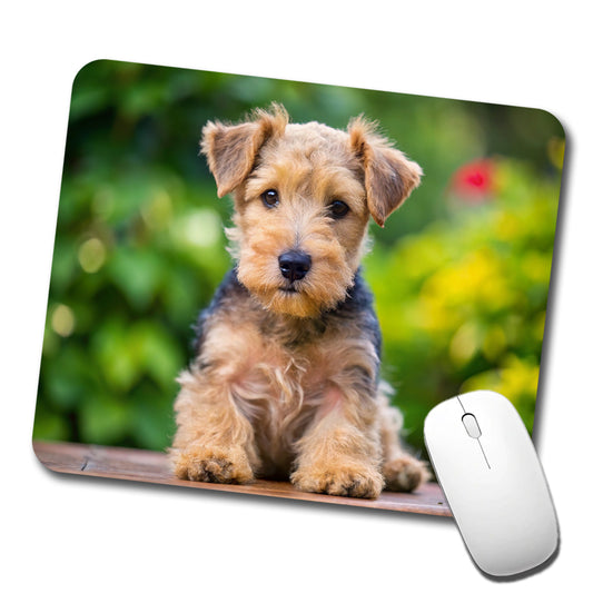 Lakeland Terrier Dog Puppy Photo Low Profile Mouse Pad Mat