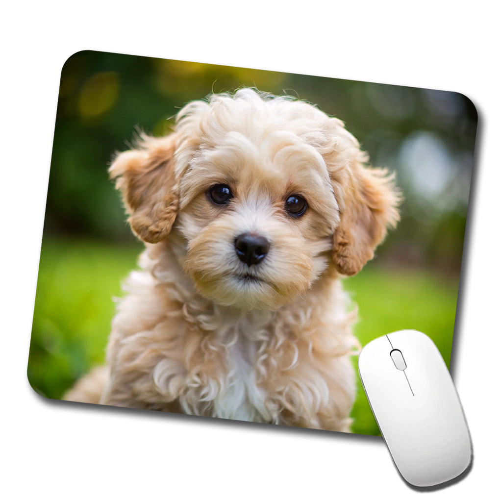 Maltipoo Dog Puppy Photo Low Profile Mouse Pad Mat