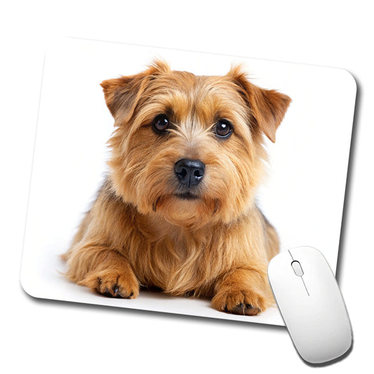 Norfolk Terrier Dog Photo Low Profile Mouse Pad Mat