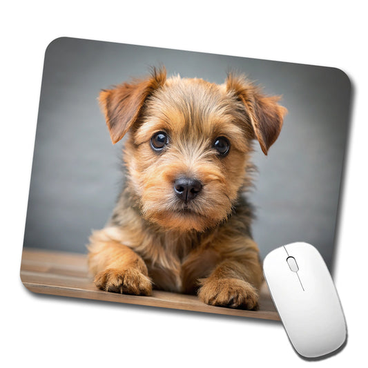 Norfolk Terrier Dog Puppy Photo Low Profile Mouse Pad Mat