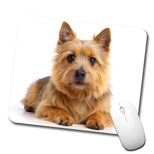 Norwich Terrier Dog Photo Low Profile Mouse Pad Mat