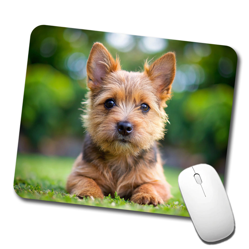 Norwich Terrier Dog Puppy Photo Low Profile Mouse Pad Mat