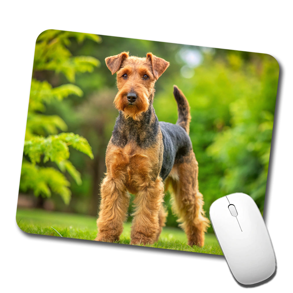 Welsh Terrier Dog Photo Low Profile Mouse Pad Mat