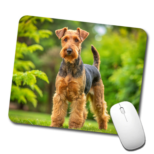 Welsh Terrier Dog Photo Low Profile Mouse Pad Mat