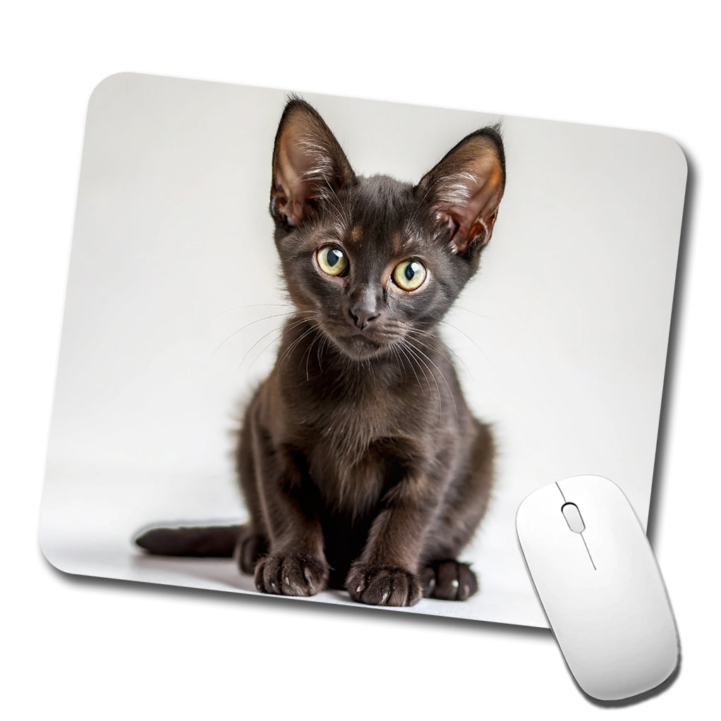 Bombay Black Cat Kitten Photo Low Profile Mouse Pad Mat