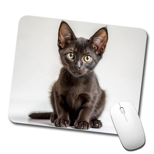 Bombay Black Cat Kitten Photo Low Profile Mouse Pad Mat