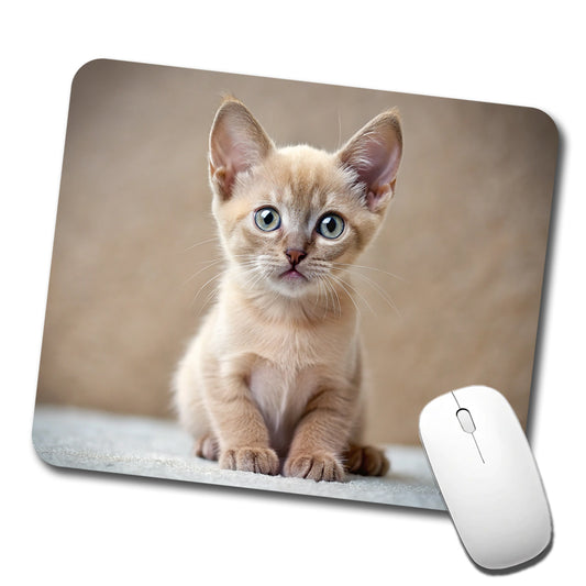 Burmese Cat Kitten Photo Low Profile Mouse Pad Mat