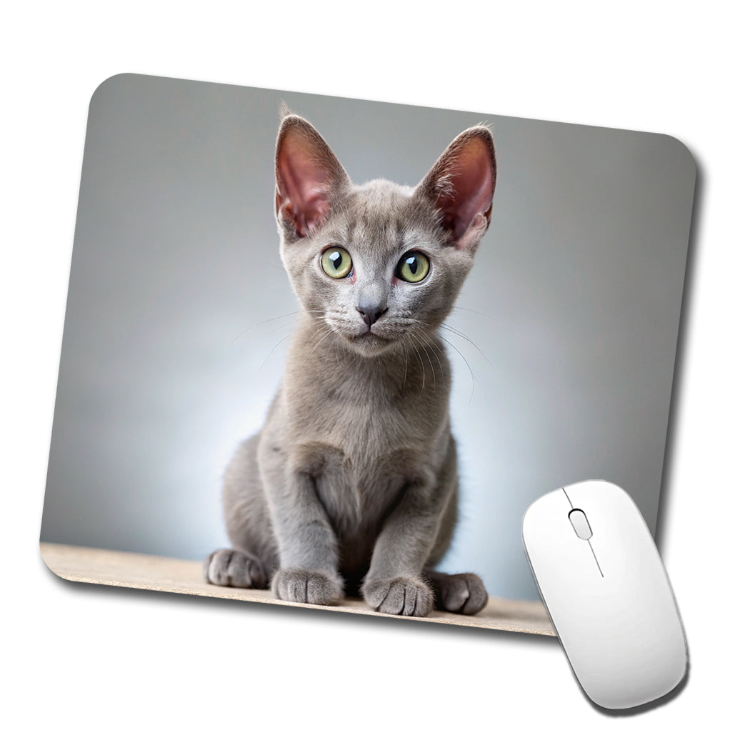 Korat Cat Kitten Photo Low Profile Mouse Pad Mat