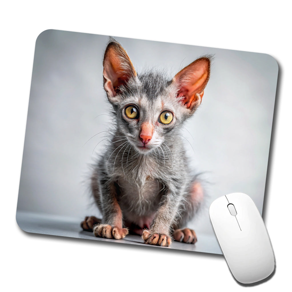 Lykoi Wolf Cat Kitten Photo Low Profile Mouse Pad Mat