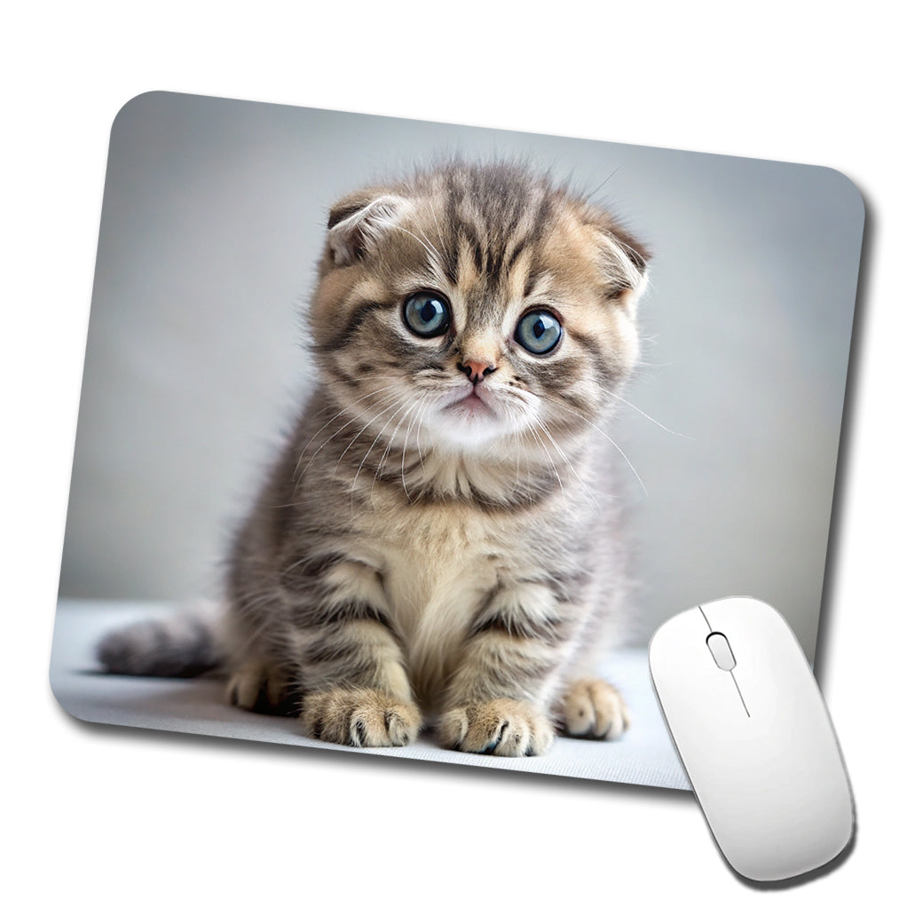 Scottish Fold Cat Kitten Photo Low Profile Mouse Pad Mat