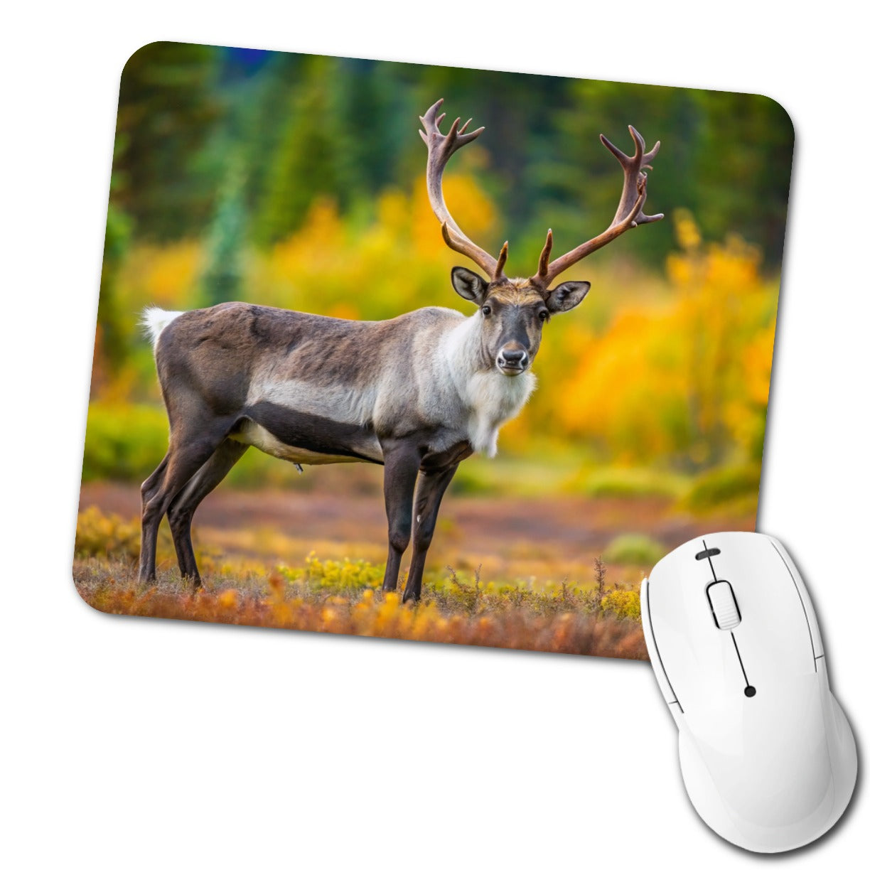 Caribou Deer Reindeer Photo Low Profile Mouse Pad Mat
