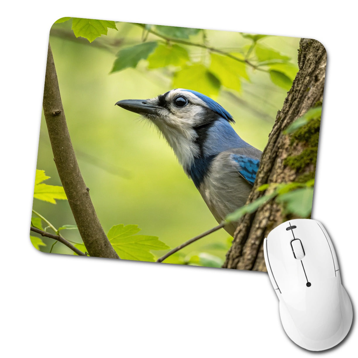 Blue Jay Bird Wildlife Low Profile Mouse Pad Mat