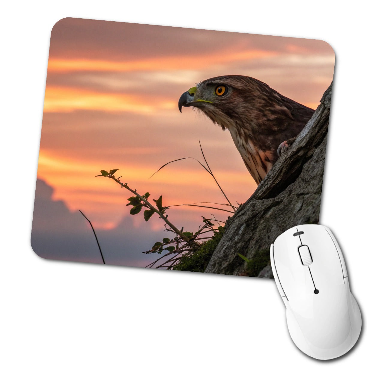 Buzzard Bird At Sunset Low Profile Mouse Pad Mat