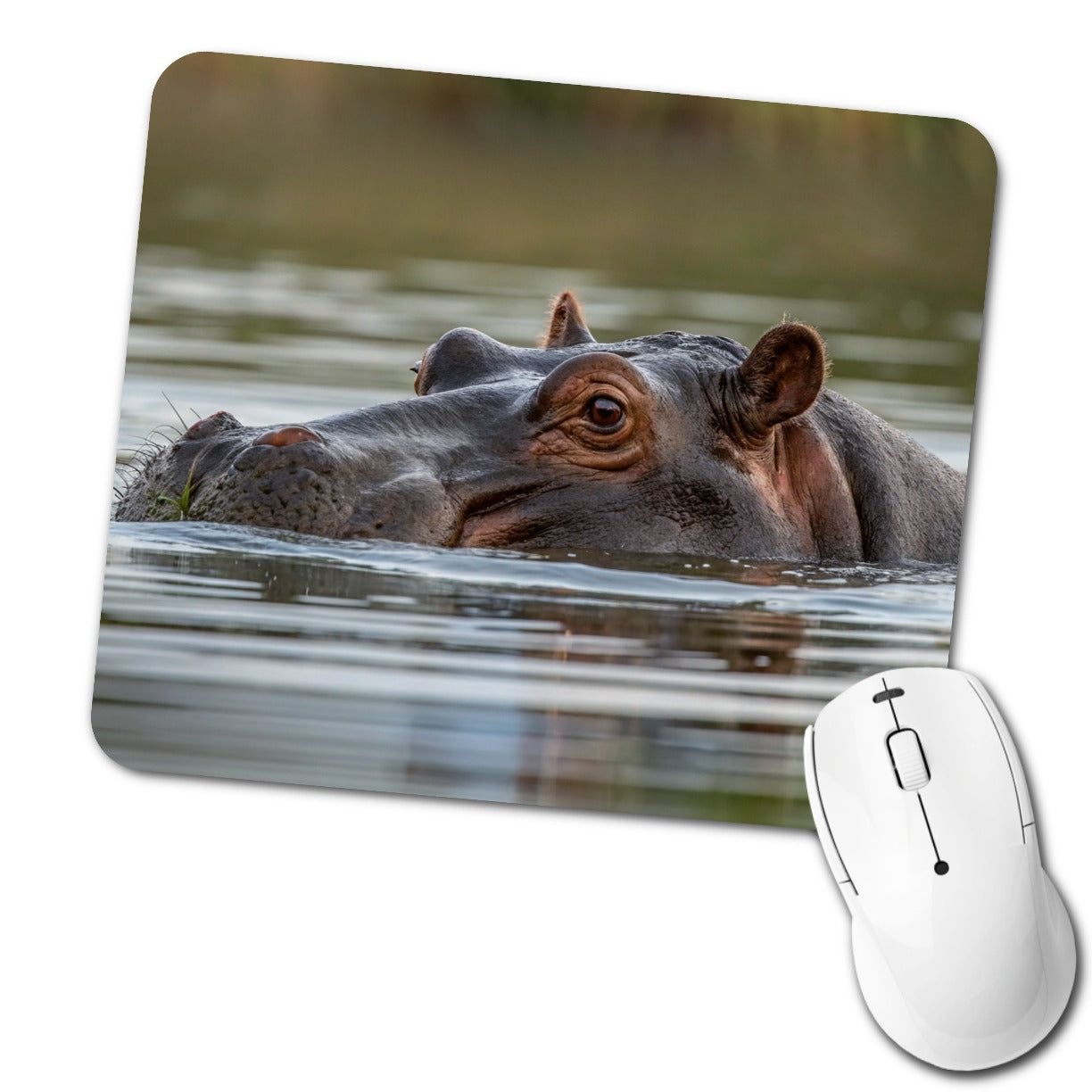 Hippo River Safari Wildlife Africa Low Profile Mouse Pad Mat
