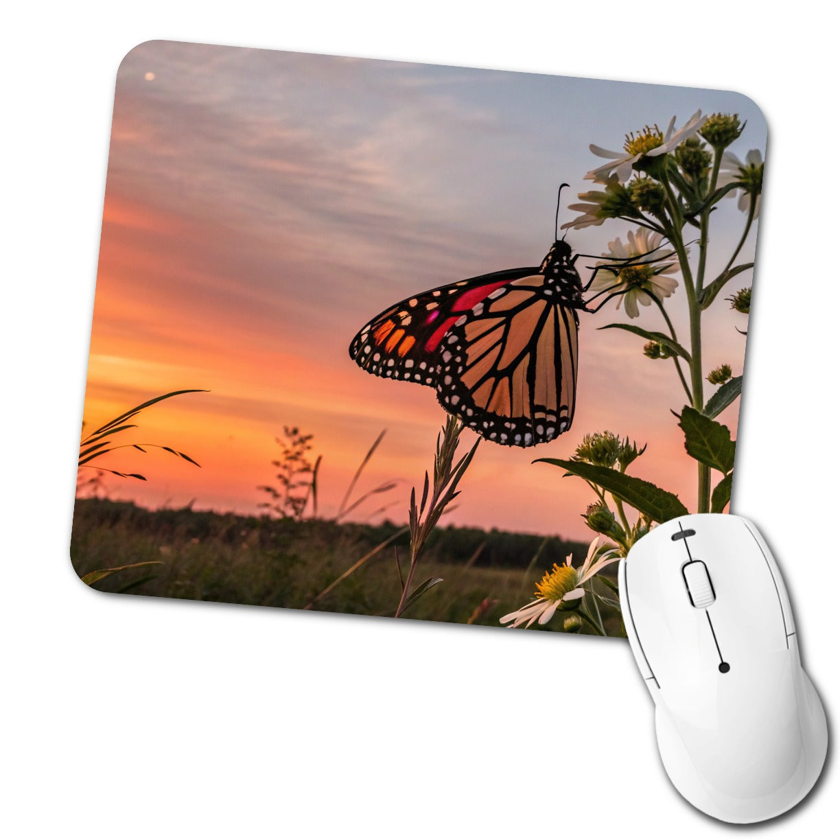 Monarch Butterfly At Sunset Low Profile Mouse Pad Mat