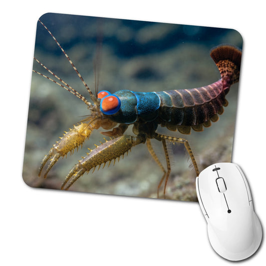 Mantis Shrimp Low Profile Mouse Pad Mat