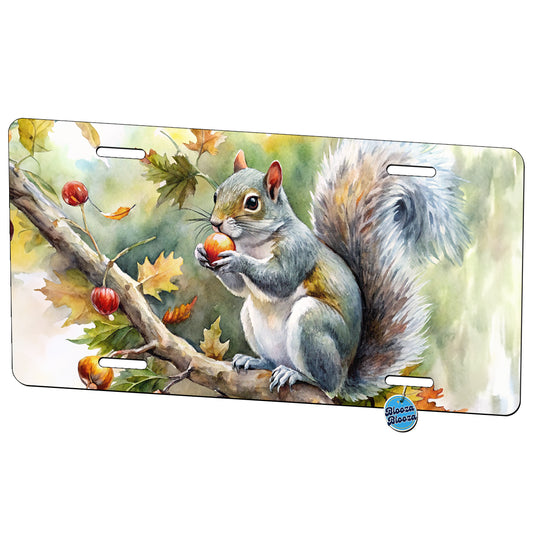 Gray Squirrel Eating Acorn In Tree Watercolor Metal Vanity Novelty Tag License Plate for Trucks Cars SUVs