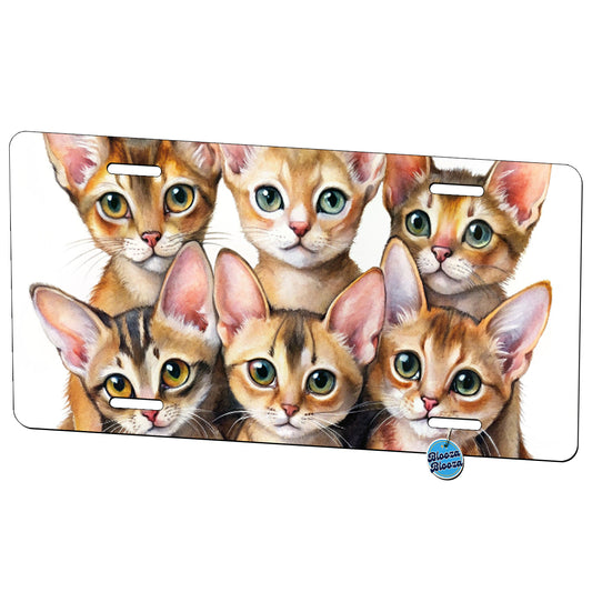 Sweet Abyssinian Cats Metal Vanity Novelty Tag License Plate for Trucks Cars SUVs