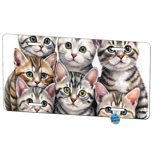 Sweet American Shorthair Cats Metal Vanity Novelty Tag License Plate for Trucks Cars SUVs