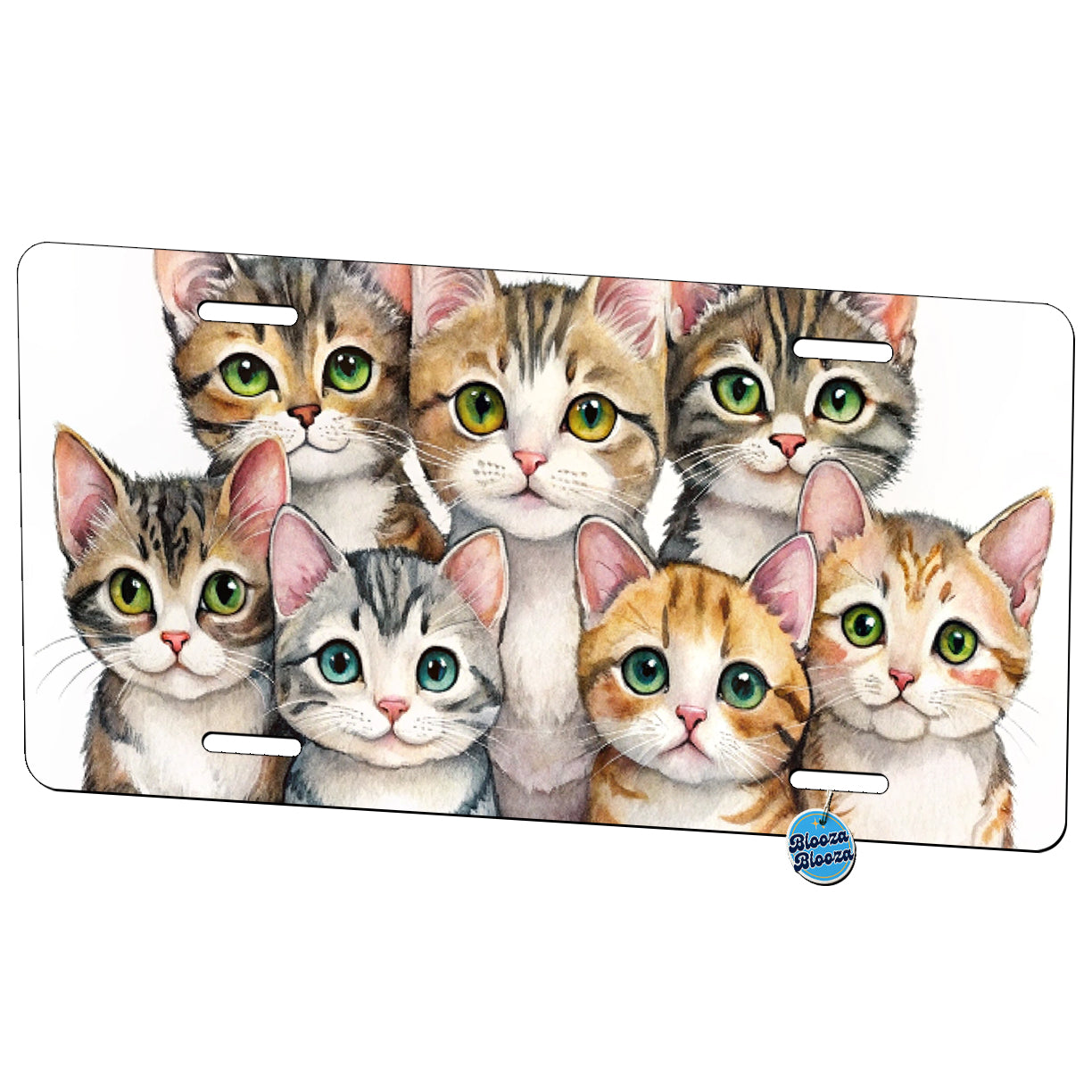 Sweet American Wirehair Cats Metal Vanity Novelty Tag License Plate for Trucks Cars SUVs