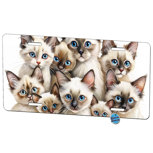 Sweet Balinese Cats Metal Vanity Novelty Tag License Plate for Trucks Cars SUVs