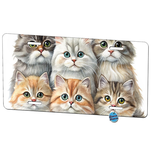 Sweet British Longhair Cats Metal Vanity Novelty Tag License Plate for Trucks Cars SUVs