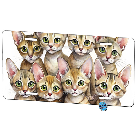 Sweet Chausie Cats Metal Vanity Novelty Tag License Plate for Trucks Cars SUVs