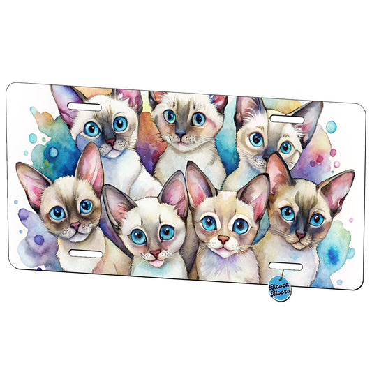 Sweet Colorpoint Shorthair Cats Metal Vanity Novelty Tag License Plate for Trucks Cars SUVs