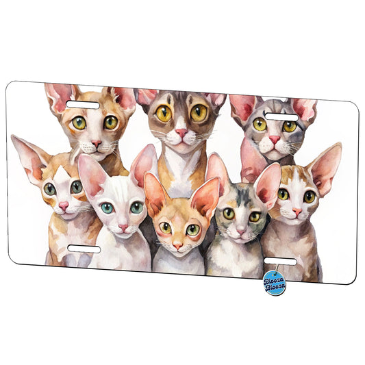 Sweet Cornish Rex Cats Metal Vanity Novelty Tag License Plate for Trucks Cars SUVs