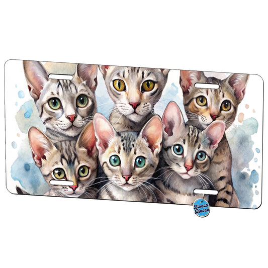 Sweet Egyptian Mau Cats Metal Vanity Novelty Tag License Plate for Trucks Cars SUVs