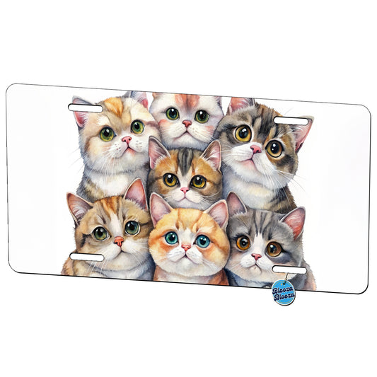Sweet Exotic Shorthair Cats Metal Vanity Novelty Tag License Plate for Trucks Cars SUVs