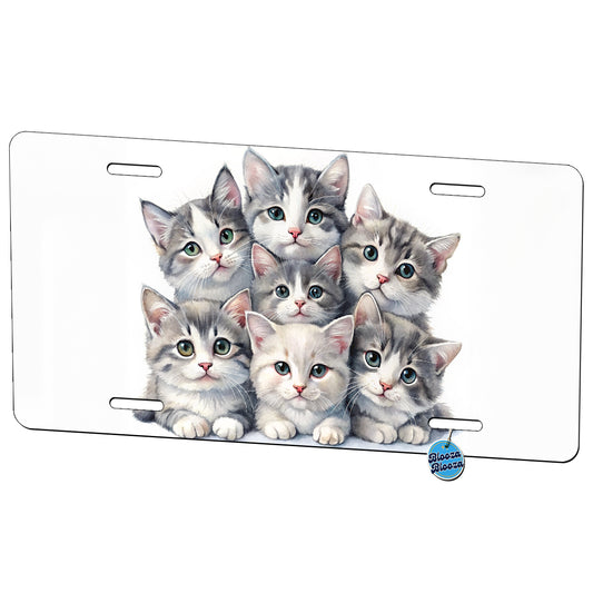 Sweet Gray And White Cats Metal Vanity Novelty Tag License Plate for Trucks Cars SUVs