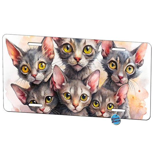 Sweet Lykoi Cats Metal Vanity Novelty Tag License Plate for Trucks Cars SUVs