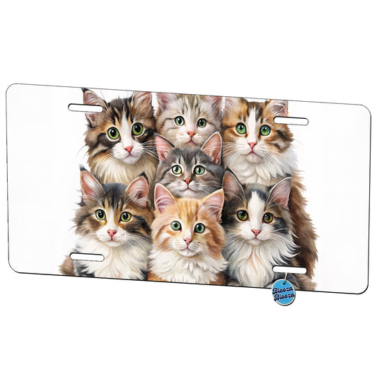 Sweet Norwegian Forest Cats Metal Vanity Novelty Tag License Plate for Trucks Cars SUVs